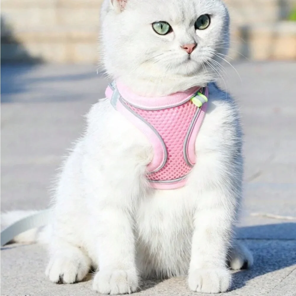 Pink Mesh Cat/Small Dog Harness